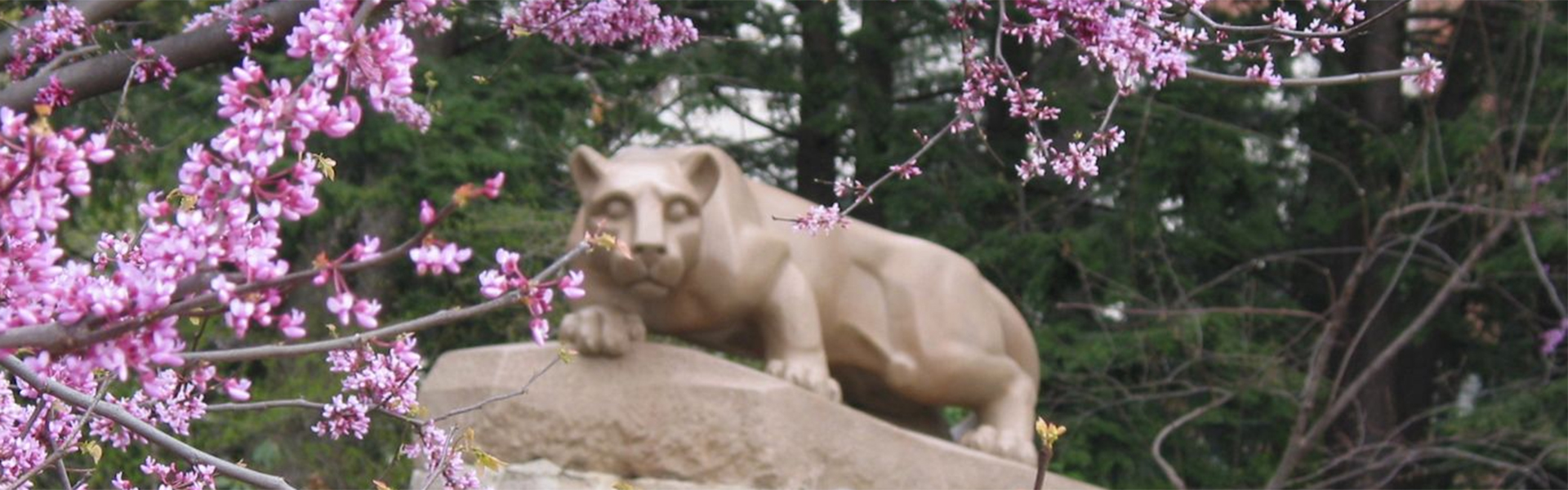 Lion Shrine Spring