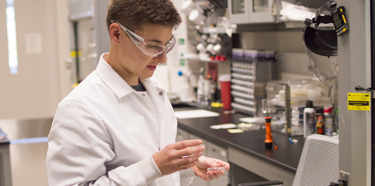 Student working in the lab