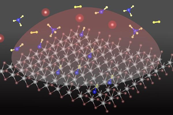 Add a Carbon Atom to Transform 2D TMD Materials 